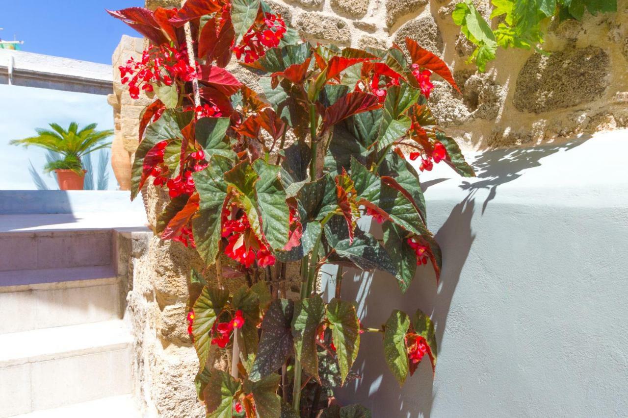 Colours - Old Town - Studios Rhodes City Екстериор снимка